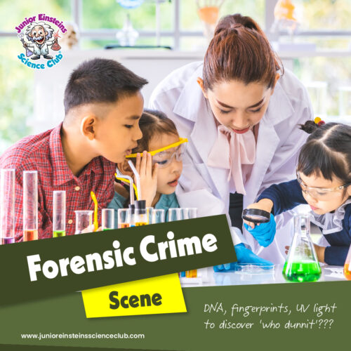 3rd August 2022 - Forensic Crime Scene - Science Summer Workshops ...