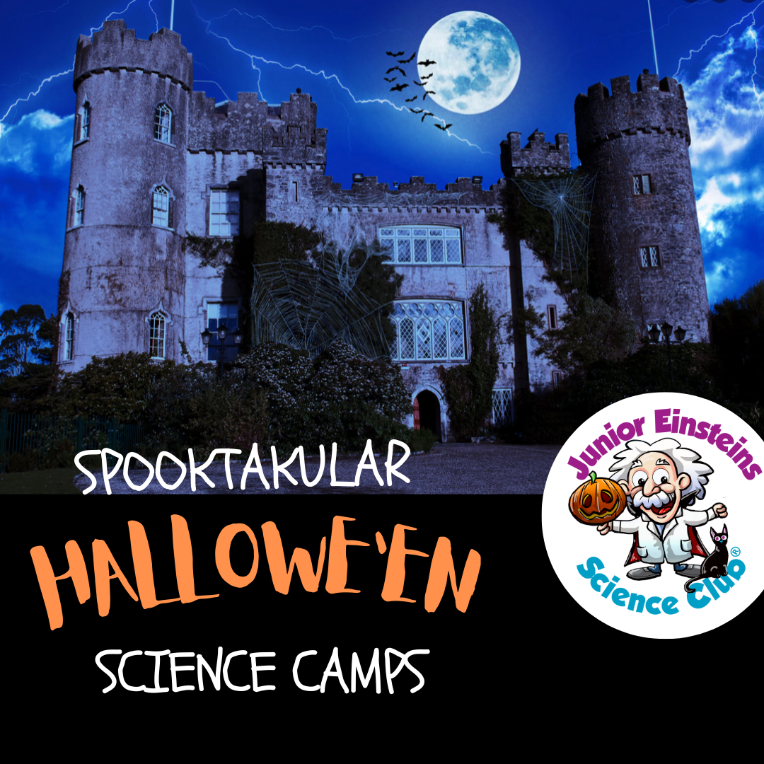 malahide-castle-spooky-hallowe-en-science-camp-31st-october