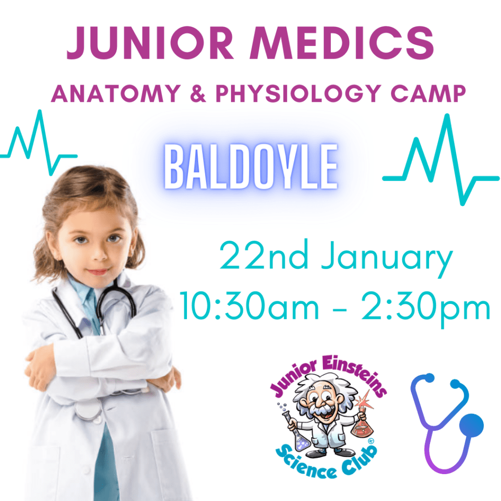 Baldoyle Junior Medics & Anatomy Science Camp (Sunday 22nd January