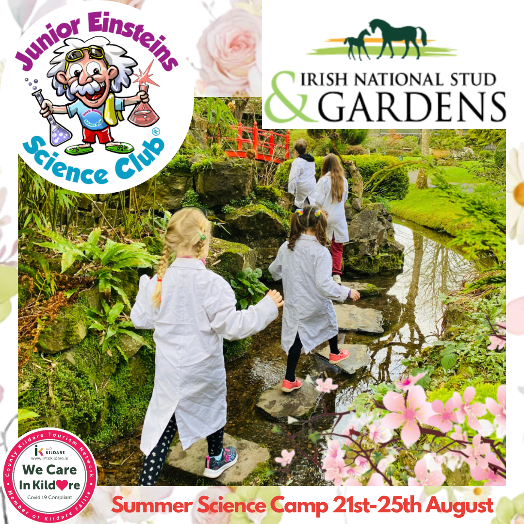 Summer Science Camp, Irish National Stud & Gardens,Kildare,21st, 22nd & 23rd August, 9am-2pm daily