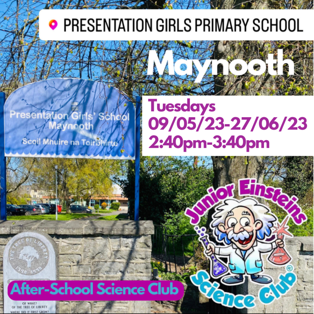 presentation girl school maynooth