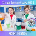 Science Summer Camp 2024 -Mount Merrion Dublin- 19th to 23rd August 2024 (9am -1pm daily)