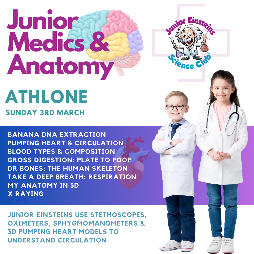 Weekend fun science camp for kids Athlone - Junior Medics & Anatomy Camp - Sunday 3rd March (at TUS Athlone from 9:30am -1:30pm)