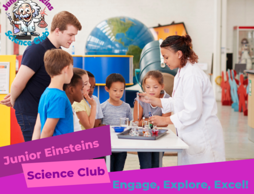 Creating a STEM Ecosystem: Collaborations and Partnerships for Impact