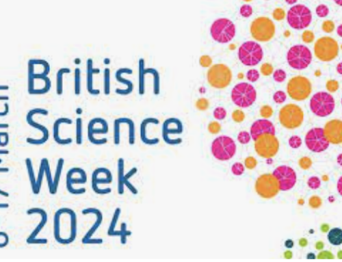 Junior Einsteins Science Club®’s Dynamic Offerings for British Science Week