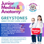 Greystones, Wicklow - Junior Medics & Anatomy Science Camp for kids