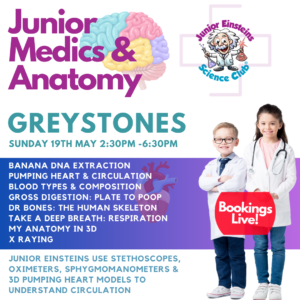 Greystones, Wicklow - Junior Medics & Anatomy Science Camp for kids