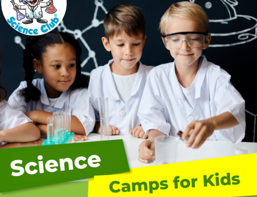 Junior Einsteins Summer Camps’ Most Popular Experiments: Slimey Slime, Punch the Slime, and Fossil Making
