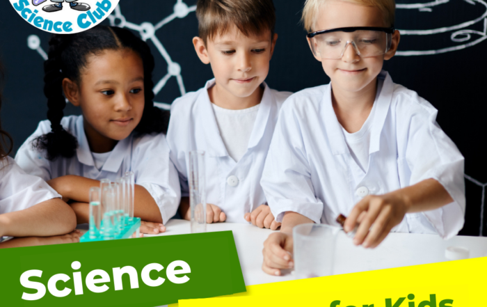 Junior Einsteins Summer Camps' Most Popular Experiments: Slimey Slime, Punch the Slime, and Fossil Making