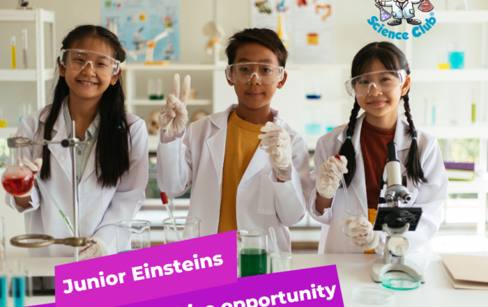 Unlock a World of Possibilities: Invest in a Junior Einsteins Science Club Franchise in Ireland