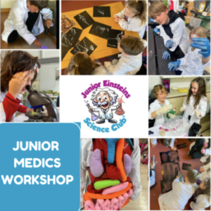 Mullingar, Westmeath - Junior Medics & Anatomy Workshop for kids - at Belvedere House, Mullingar - Saturday 9th November 10:30am -12pm