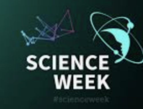 Get Ready for Science Week Ireland with Junior Einsteins: Bringing Science Shows, Roadshows, and STEM Workshops to Your Community!