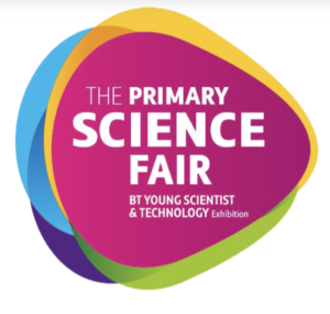 Junior Einsteins Science Club was delighted to bring its signature STEM workshops and engaging science shows to the Primary Science Fair at the BT Young Scientist and Technology Exhibition