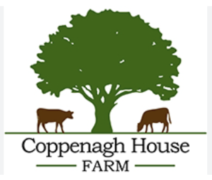 Junior Einsteins STEM Workshops and Science Shows at Coppenagh Farm, Carlow