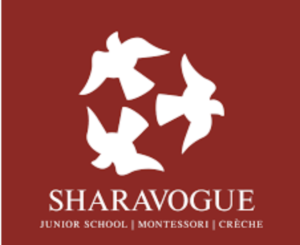 Junior Einsteins Science Parties, STEM Workshops, and Science Shows and after school science clubs at Sharavogue Montessori