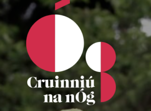 Junior Einsteins Science Workshops and Science Shows at Cruinniú na nÓg