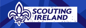 Junior Einsteins STEM Workshops and Science Shows with Scouting Ireland