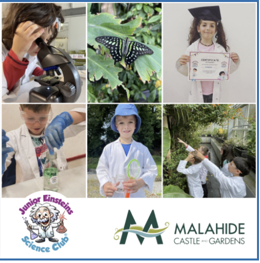 Malahide Castle & Gardens, Dublin - Science Midterm Camp for kids - Tuesday 18th February 2025 (9:30am -1:30pm)