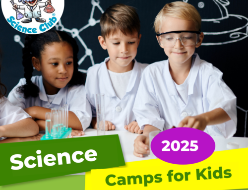 Junior Einsteins Week-Long Summer Camps 2025: Learning, Discovery, and Fun!