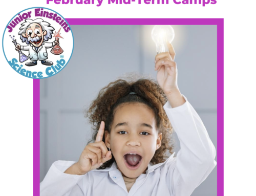 Exciting February Mid-Term Break Science Camps 2025 Ireland – Bookings Now Open!