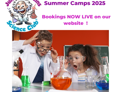 Junior Einsteins Science Club Summer Camps – Where Curiosity Explodes!