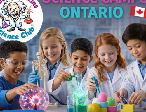 Junior Einsteins Science Club Camps Ontario
