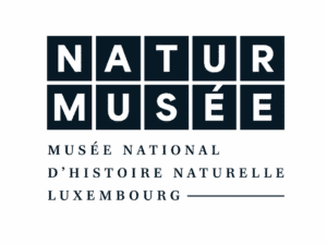 Musée national d'histoire naturelle Luxembourg - Naturmusée