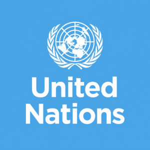 The United Nations (UN)