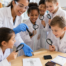 The Gold Standard for Primary Science and STEM: One Partnership, Every Problem Solved