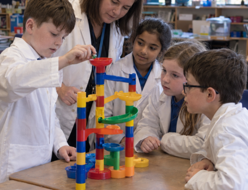 Maths Week Ireland ; What does a pinecone know about maths?